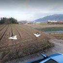 자연유산공인중개사사무소 이미지