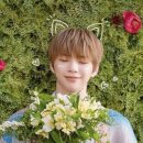 강비디오 이미지