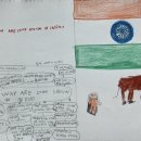Why are cows special in india? 이미지