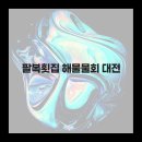 대전해물회집 네이버블로그