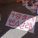 한국 제대로 즐기고 있는 알렉벤자민 이미지