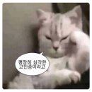 꼬불이곱창 계명대직영점