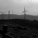 삼양목장 이미지