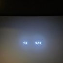 나라세운호랑이 | 영화 <왕과 사는 남자> 후기 :: 배우들 연기 미쳤다, 오랜만에 좋은 사극 영화