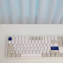 한성제1 경로당 | 사무실 저소음 키보드 추천! 한성 GK798PRO 브라운슈가 토독 1년 내돈내산 후기