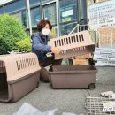 광석1리마을회관 이미지