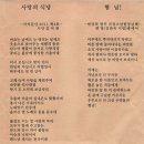 분도와안나개미꽃동산 티스토리