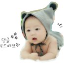 초록마을 대전가오점