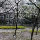 용산근린 공원진입로 | 대구 공원 추천 용산근린공원 산책 후기 주차 꿀팁