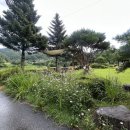 테라스의 아침펜션 이미지