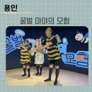 꿀벌유치원 | [용인] 세계 명작 동화 뮤지컬 꿀벌 마야의 모험 관람후기