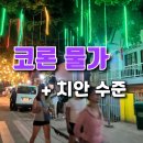 다이버마트 | 코론 물가 총정리｜숙소·마트·교통·음식·투어 가격 + 치안 수준