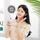 플레이디