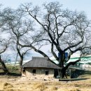 삼강경로당 이미지