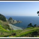 바람의언덕 이미지