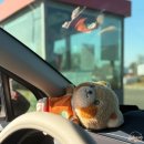 황계충전소 이미지