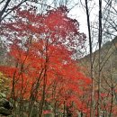 거림1교 | 고운재~주산능선