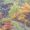 이부바바 이미지