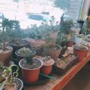 뜨라레해물모듬짬뽕전문점 이미지