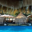 단장알프스펜션&글램핑 | [청양 숙소 추천] 알프스 글램핑, 대전 근교 청양 여행 수영장 고기 막걸리 김치전 무한리필 펜션