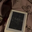 금서 | 책 연매장 후기: 글 잘 쓰는 중국 작가들은 금서 지정 한 번 쯤 되어보는 것이 관례인가요