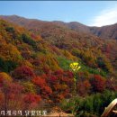 중산리시외버스정류장 이미지