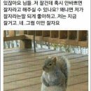 꼬기나랑 이미지