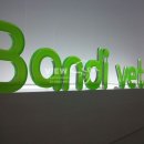 반디동물병원 이미지