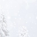 영월치과의원 이미지