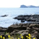 용수충혼묘지 이미지