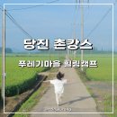 힐링캠프 | 당진 촌캉스 1박2일 푸레기마을 힐링캠프 후기