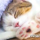 뉴키(주) 이미지