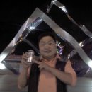 대공원광장대로 이미지