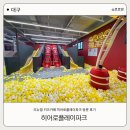 주식회사 히어로플레이파크 | 리뉴얼된 대구 키즈카페 히어로플레이파크 재방문 솔직 후기