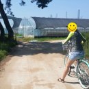 민지네 민박 이미지