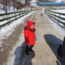 민기목장 이미지