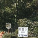 양평막국수 | 양평 맛집 - 막국수와 완자가 맛있는 머무름 솔직 후기