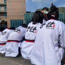 강한 태권도장 이미지