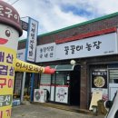 꿀꿀이농장 이미지