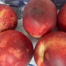 냠냠쩝쩝 이미지