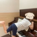 뮤직트리음악학원 | 세종피아노 음악으로 마음을 키우는 곳, 더뮤직트리음악학원