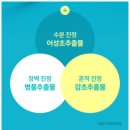 수분 진정에 좋은 넘버즈인 1번라인 초록 진정패드 내돈내산 후기