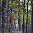 밭탕골약수터 이미지