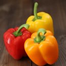 천연식이섬유 효능9가지 이미지