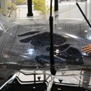넥스트 컴퍼니