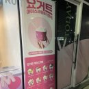 요거트아이스크림의정석오송점