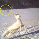 (주)알비노 이미지