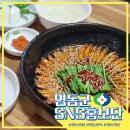여자만 회 타운 이미지