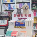은온누리약국 이미지