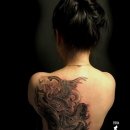 봉황태권도체육관 이미지